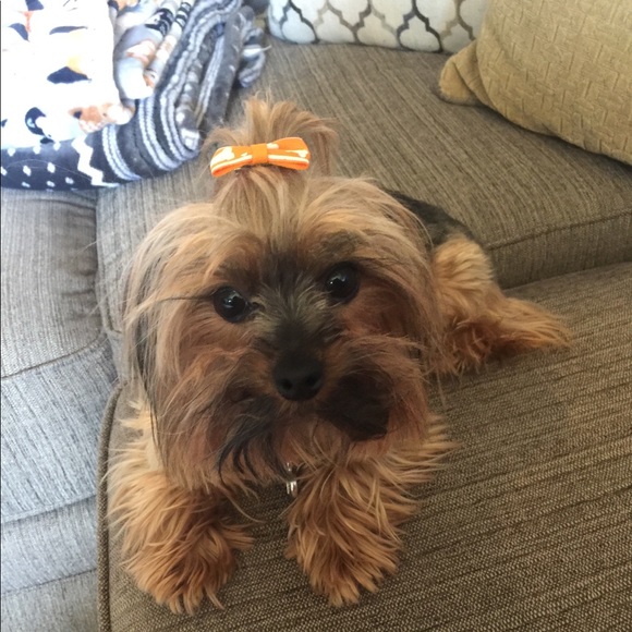 Meet The Posher 🖤 - Picture 7 of 8